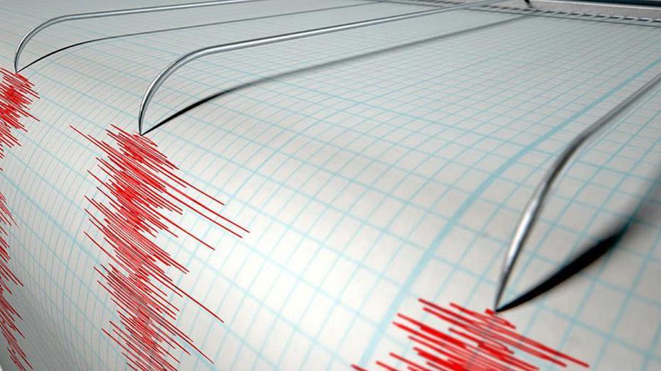 İstanbul Adalar'da Süreklilik Gösteren Deprem Hareketliliği