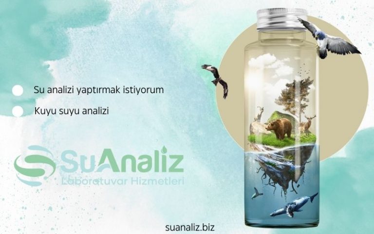 Su Analizi Yaptırmak İstiyorum: Sık Sorulan Sorular ve Cevapları