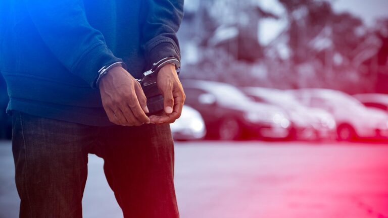 Baliekesir’deki orman yangınlarında 5 gözaltı