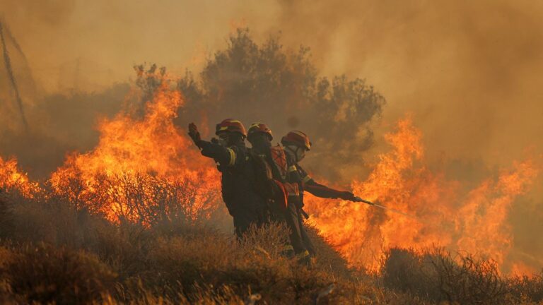 Video. Girit adasındaki itfaiyeciler büyük orman ateşiyle savaşıyor