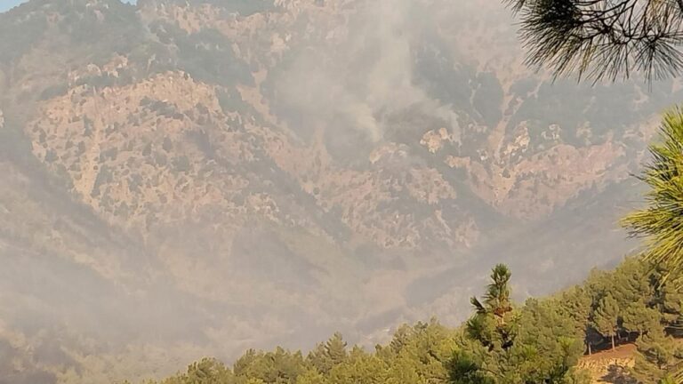 Hatay’da Orman Ateşi: 540 kişi tahliye edildi