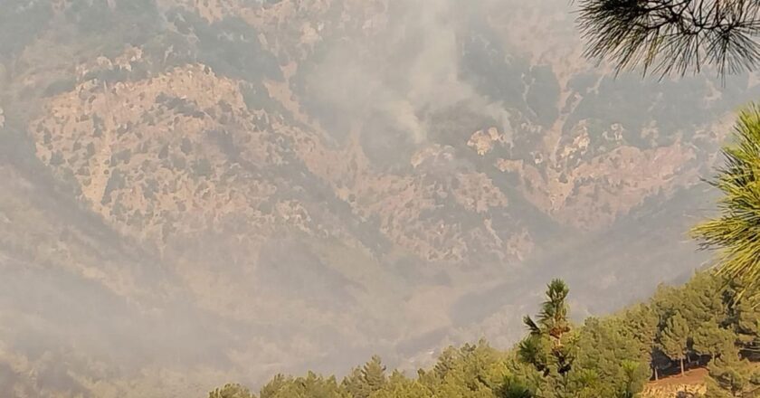 Hatay’da Orman Ateşi: 540 kişi tahliye edildi