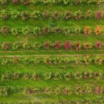 Uludağ yamaçlarında sonbahar renklerinin cümbüşü