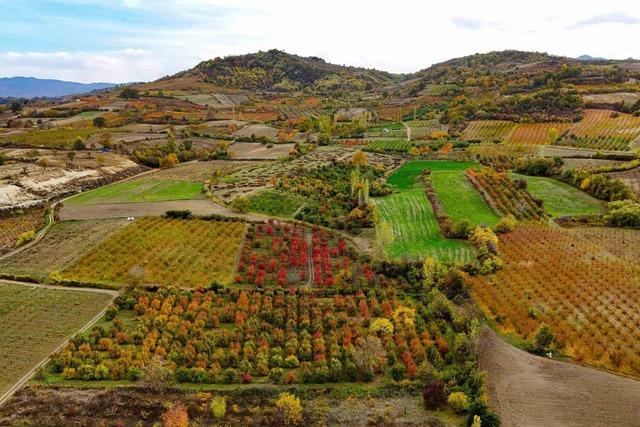 Uludağ eteklerinde sonbahar renklerinin cümbüşü