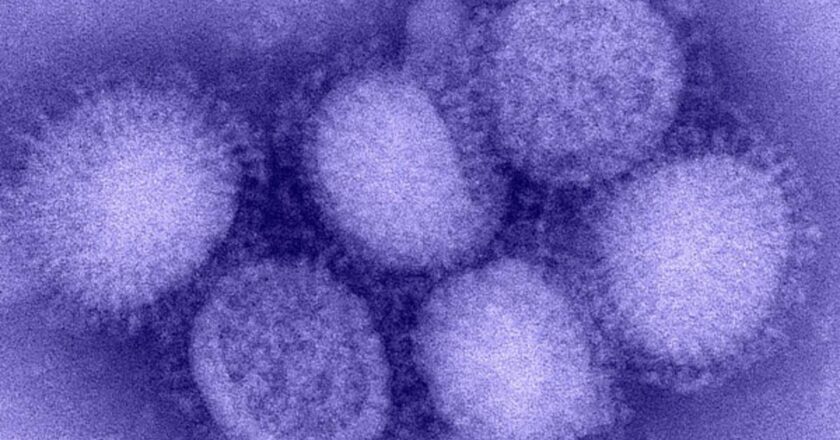 Kuzey Yarımküre’de “H3N2” alarmı! “Eşi görülmemiş grip vakaları yaşanıyor”